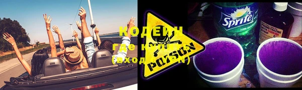 spice Богданович