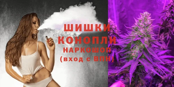 spice Богданович
