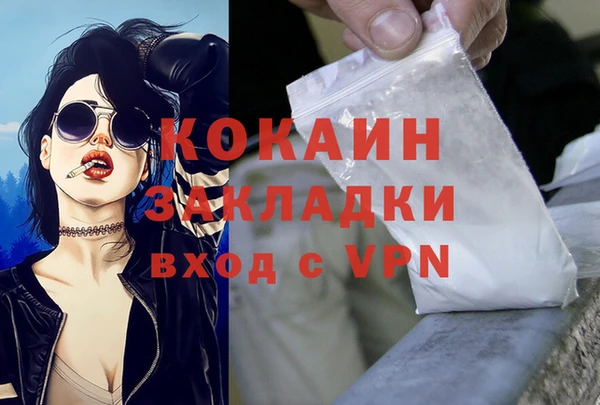 spice Богданович
