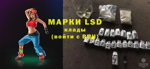 spice Богданович