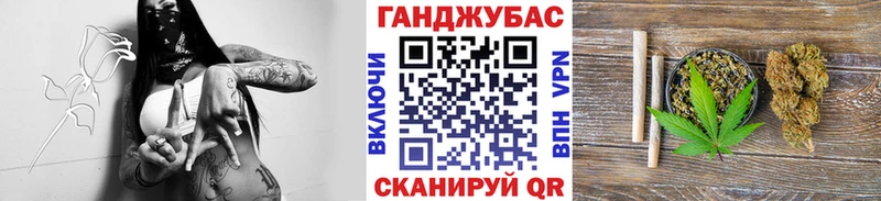 Шишки марихуана план  купить наркотик  дарк нет состав  Дегтярск 